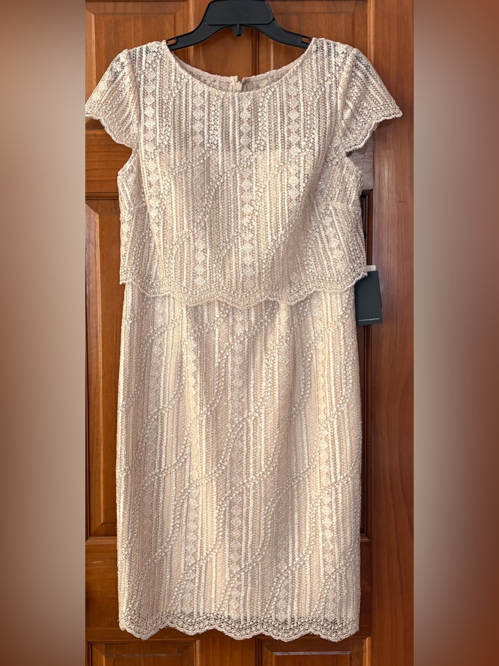 Adrianna Papell Lace Midi Dress with Scalloped Overlay